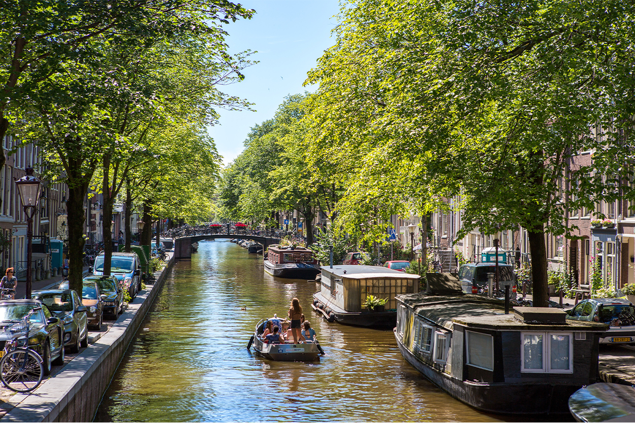 Bomen in Amsterdam