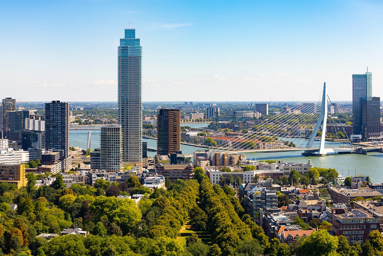 Bomen in Rotterdam